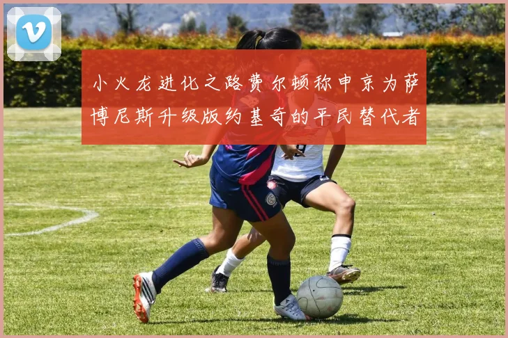 小火龙进化之路费尔顿称申京为萨博尼斯升级版约基奇的平民替代者